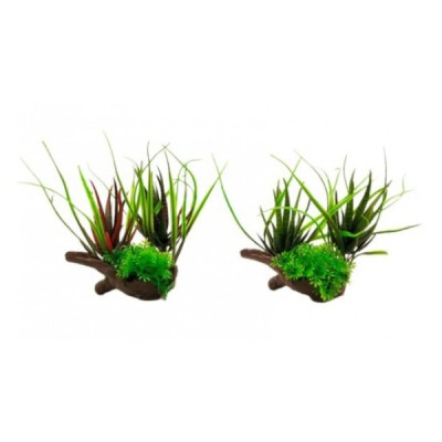 ΔΙΑΚΟΣΜΗΤΙΚΟ ΦΥΤΟ ΕΝΥΔΡΕΙΟΥ 18Χ12CM